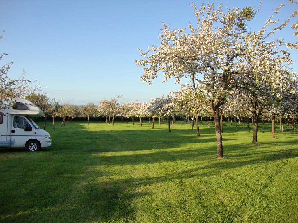 Orchard Farm Luxury Glamping And Campsite Glastonbury Luaran gambar